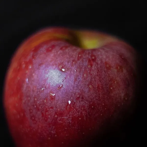 Svart Milanesisk loop armband för Apple Watch