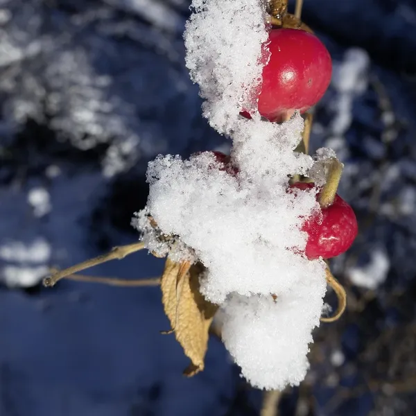 Rosa sportarmband för Apple Watch